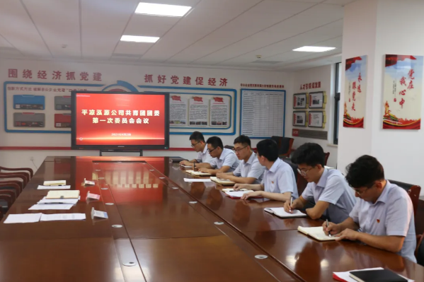 泓源公司团委召开第一次团员大会(图3) 泓源公司团委召开第一次团员大会(图3)